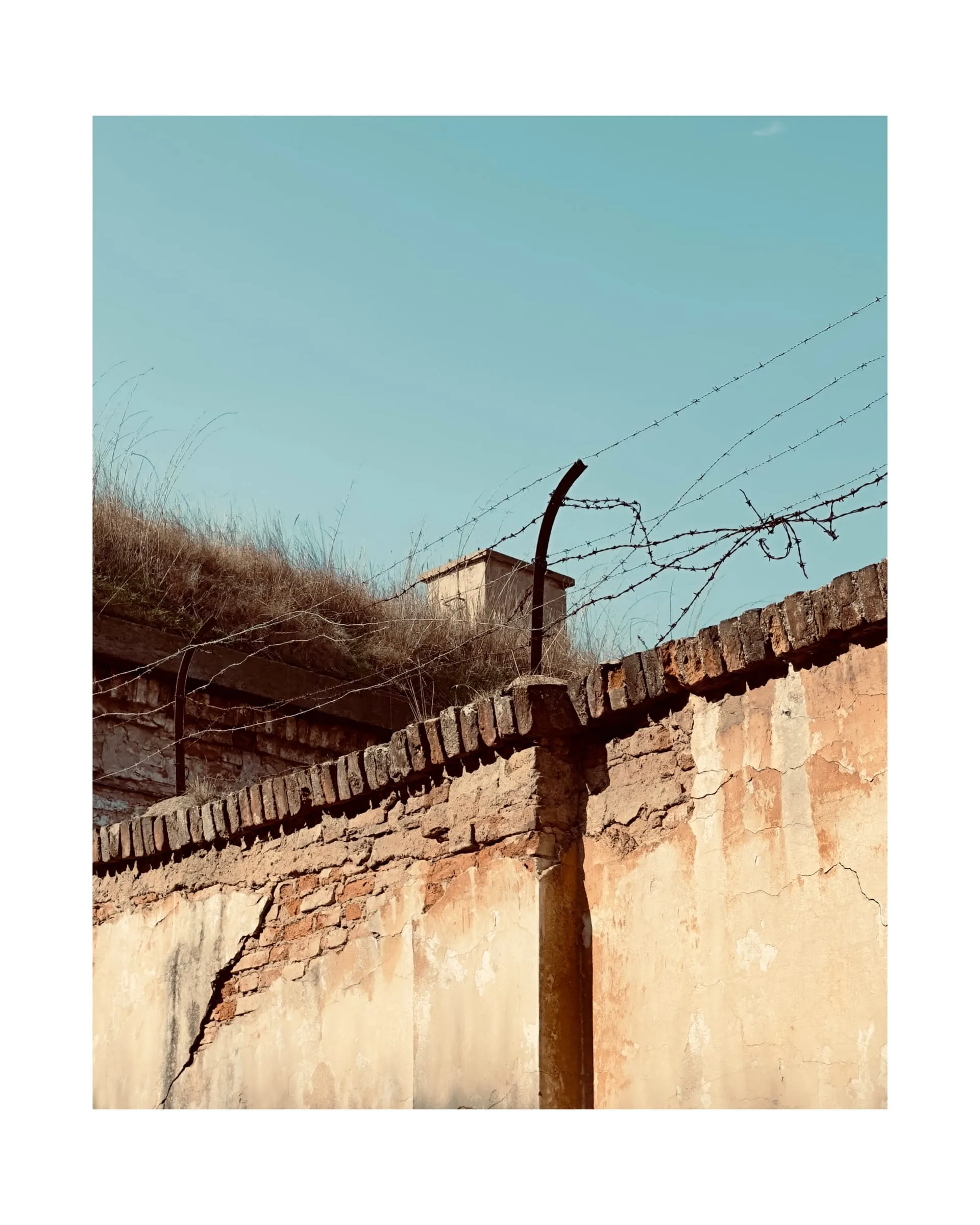 La semplicità del costrutto