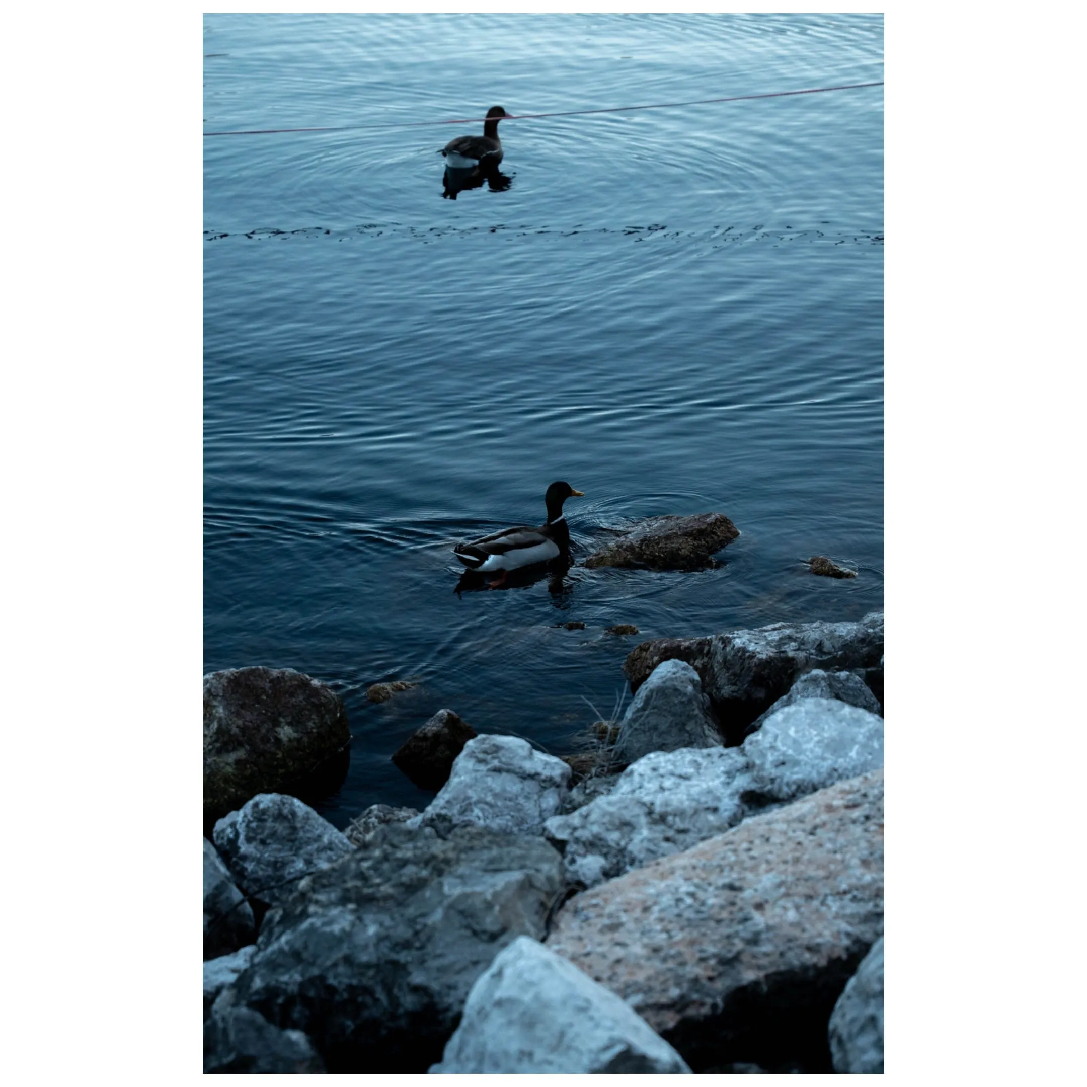 mostra percezione — 0002_IMG_2182