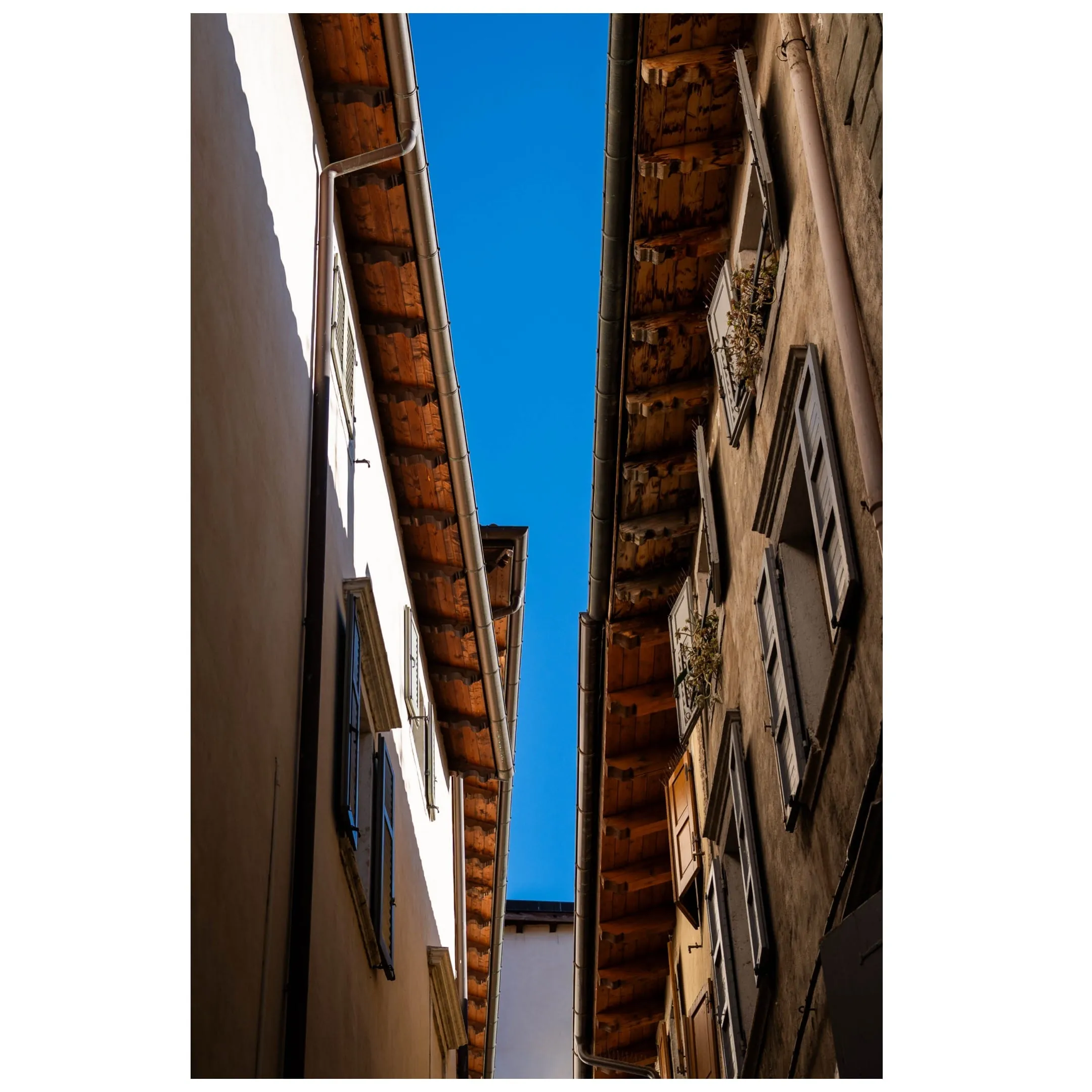 mostra percezione — 0003_IMG_2183