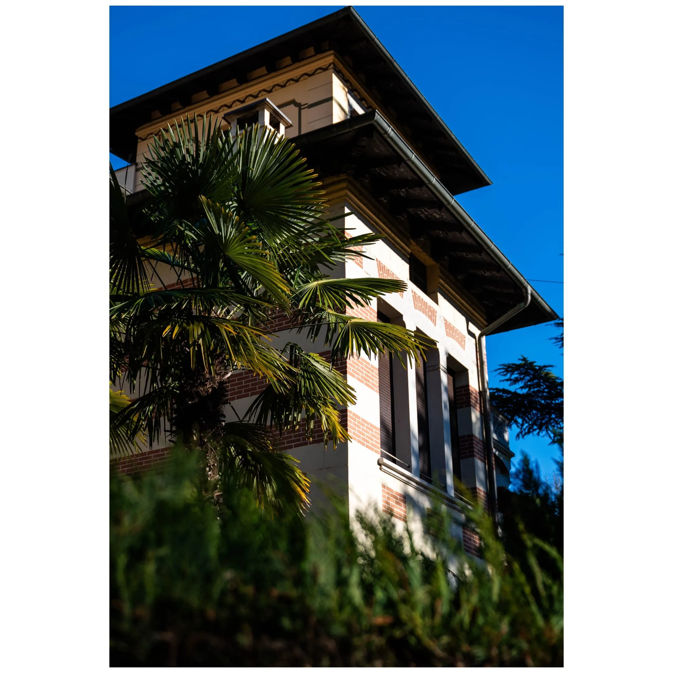 mostra percezione — 0005_IMG_2185