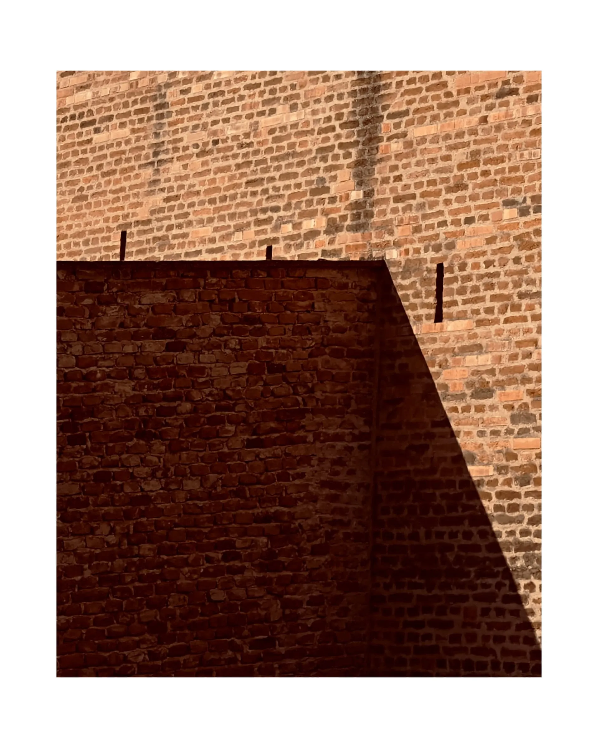 mostra costrutto — 0005_IMG_2995