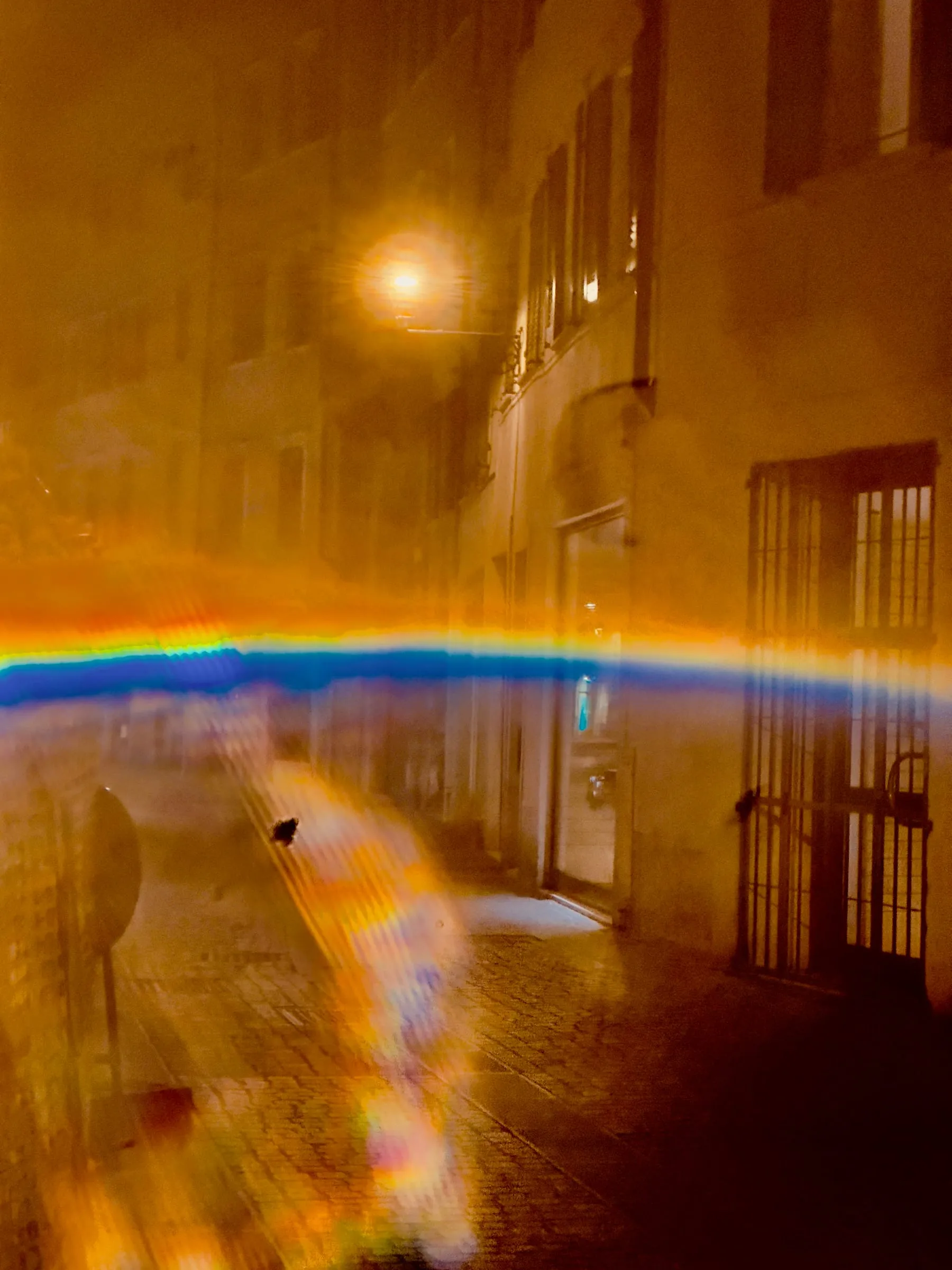 mostra disordine — 0007_IMG_3320