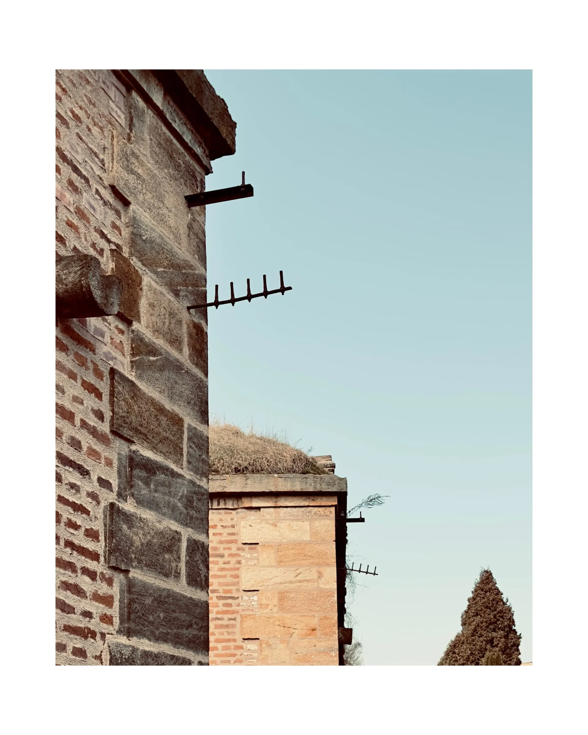 mostra costrutto — 0008_IMG_2998