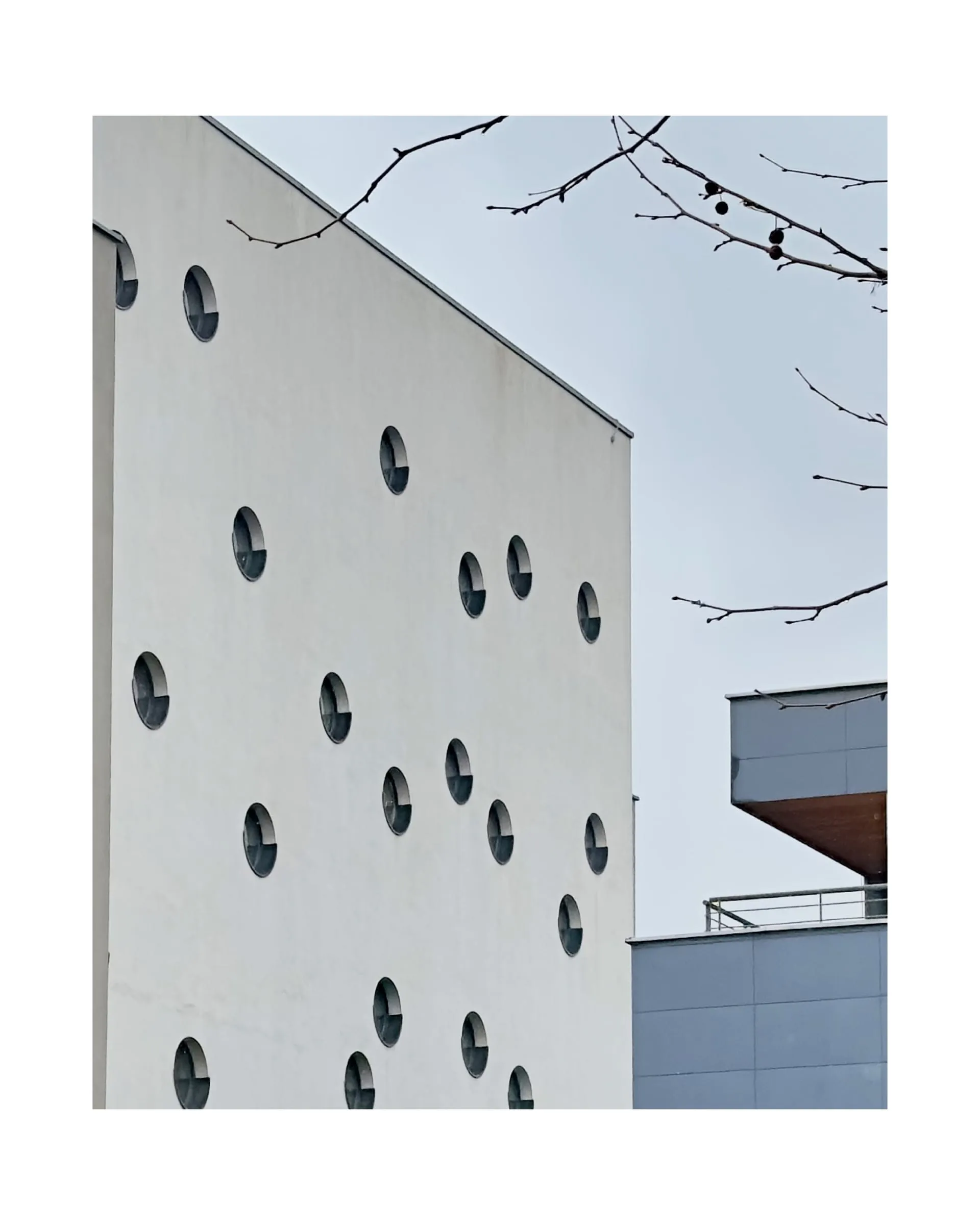 mostra costrutto — 0010_IMG_3001